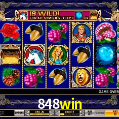 Design Responsivo 848win